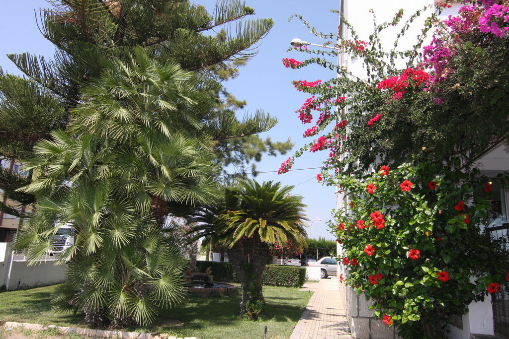 Hotel Sol بينيكارلو المظهر الخارجي الصورة